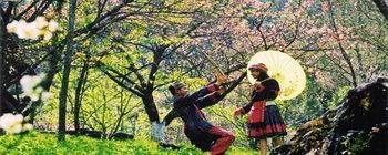 Tourists are enjoying Sapa trekking and homestay - TL208 